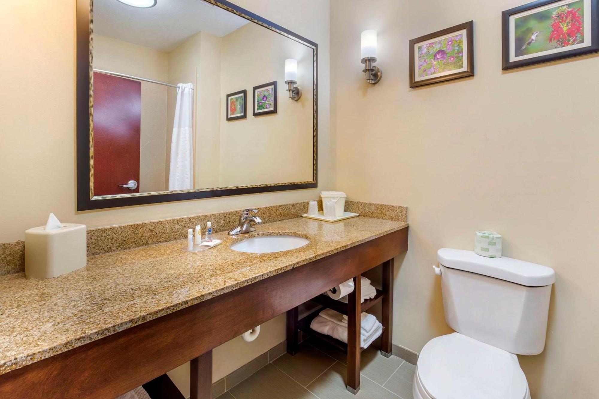 Comfort Suites Wilson - I - 95 Ngoại thất bức ảnh