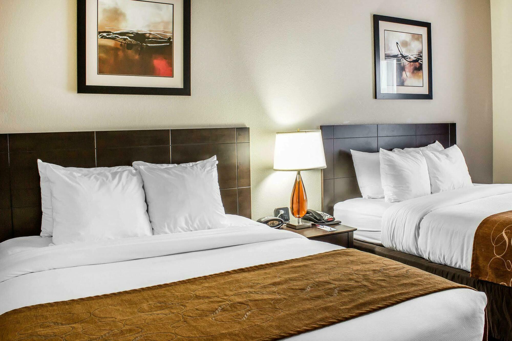 Comfort Suites Wilson - I - 95 Ngoại thất bức ảnh